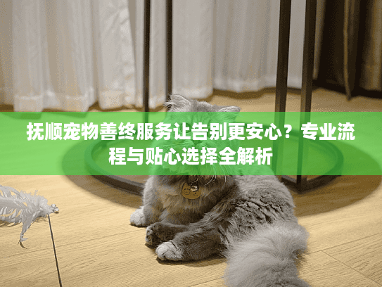 抚顺宠物善终服务让告别更安心？专业流程与贴心选择全解析