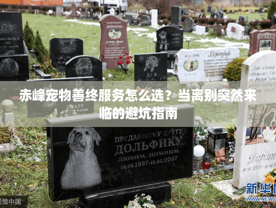 赤峰宠物善终服务怎么选？当离别突然来临的避坑指南