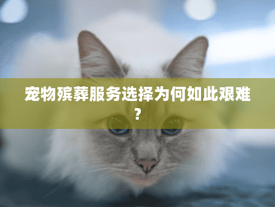 宠物殡葬服务选择为何如此艰难?