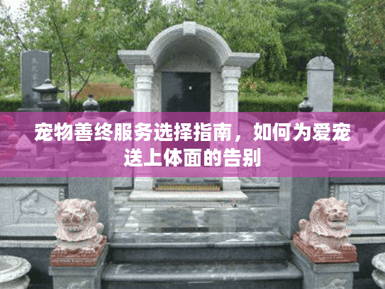 宠物善终服务选择指南，如何为爱宠送上体面的告别
