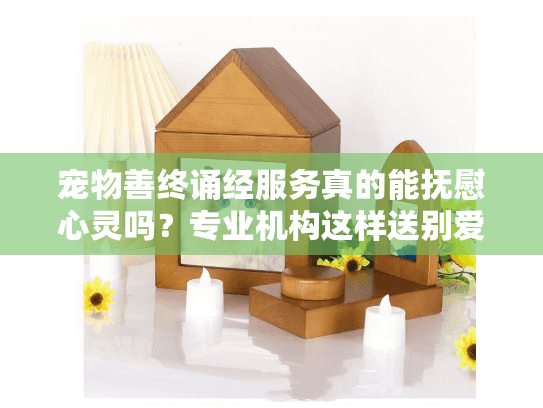 宠物善终诵经服务真的能抚慰心灵吗？专业机构这样送别爱宠