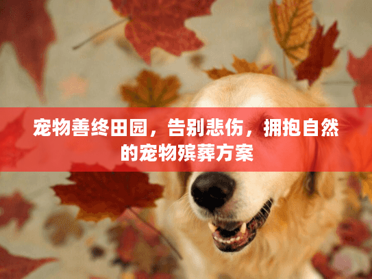 宠物善终田园，告别悲伤，拥抱自然的宠物殡葬方案