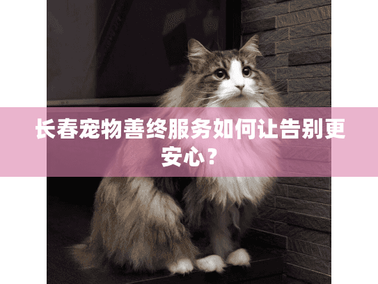 长春宠物善终服务如何让告别更安心？