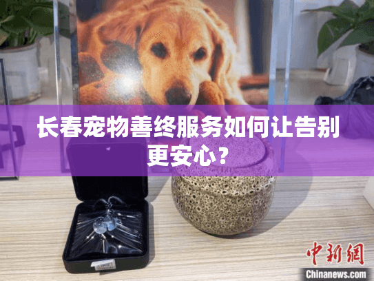 长春宠物善终服务如何让告别更安心？