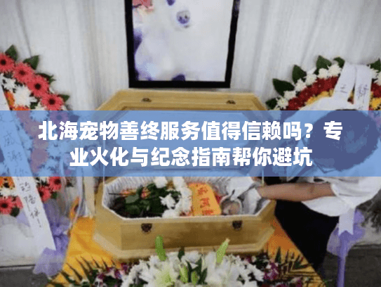 北海宠物善终服务值得信赖吗？专业火化与纪念指南帮你避坑