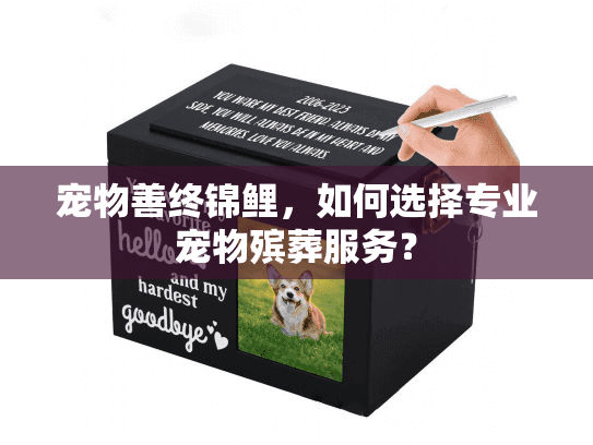 宠物善终锦鲤，如何选择专业宠物殡葬服务？