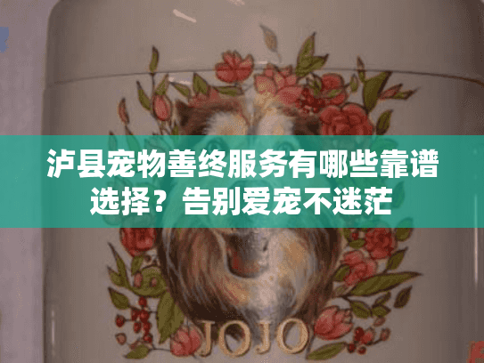 泸县宠物善终服务有哪些靠谱选择？告别爱宠不迷茫