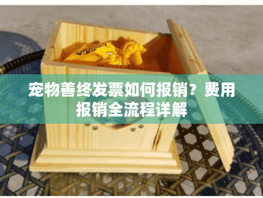 宠物善终发票如何报销？费用报销全流程详解
