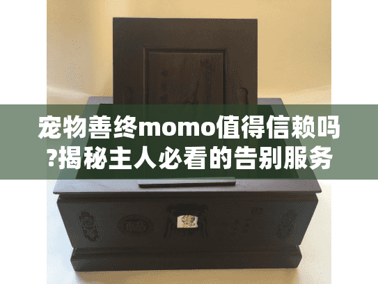 宠物善终momo值得信赖吗?揭秘主人必看的告别服务选择指南