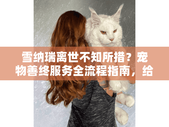 雪纳瑞离世不知所措？宠物善终服务全流程指南，给家人体面告别