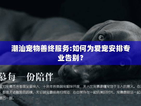 潮汕宠物善终服务:如何为爱宠安排专业告别？