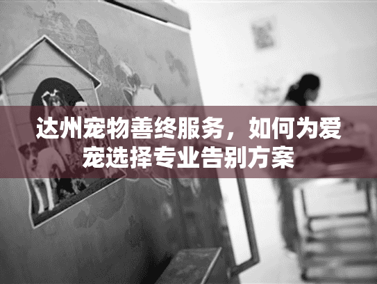 达州宠物善终服务，如何为爱宠选择专业告别方案