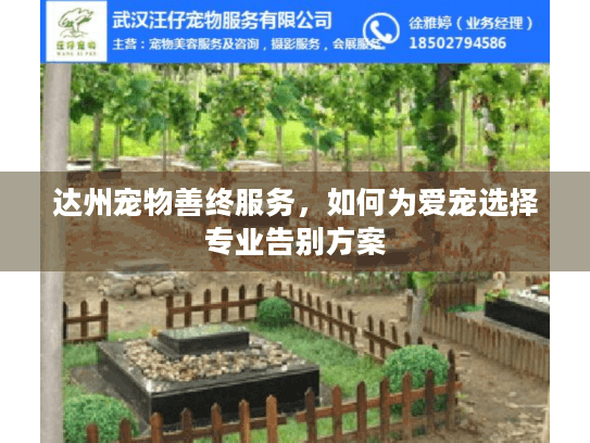 达州宠物善终服务，如何为爱宠选择专业告别方案