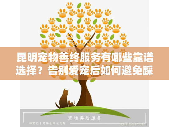 昆明宠物善终服务有哪些靠谱选择？告别爱宠后如何避免踩坑？