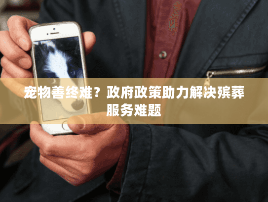 宠物善终难？政府政策助力解决殡葬服务难题