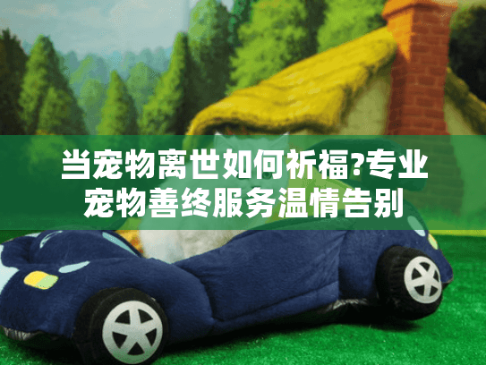当宠物离世如何祈福?专业宠物善终服务温情告别