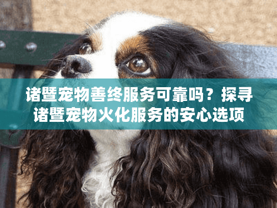 诸暨宠物善终服务可靠吗？探寻诸暨宠物火化服务的安心选项