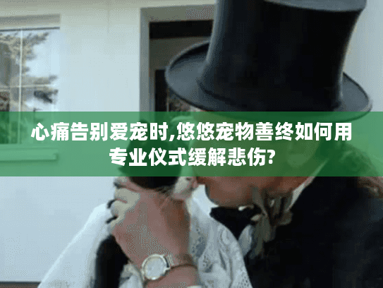 心痛告别爱宠时,悠悠宠物善终如何用专业仪式缓解悲伤?