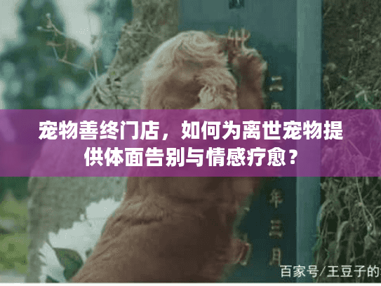 宠物善终门店，如何为离世宠物提供体面告别与情感疗愈？