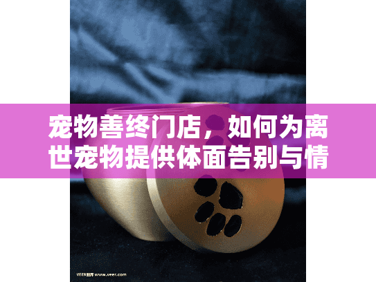 宠物善终门店，如何为离世宠物提供体面告别与情感疗愈？