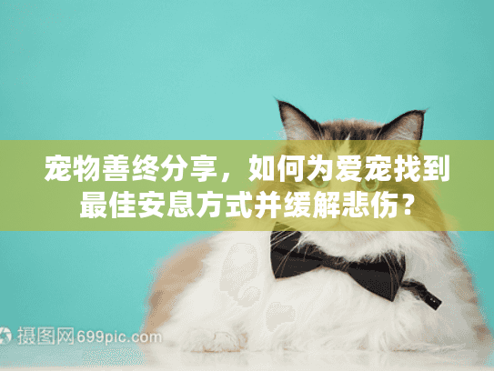 宠物善终分享，如何为爱宠找到最佳安息方式并缓解悲伤？