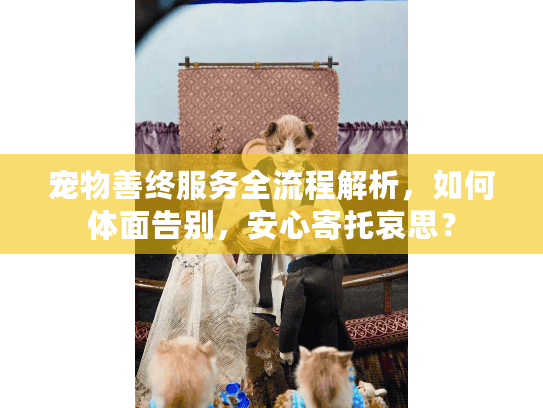 宠物善终服务全流程解析，如何体面告别，安心寄托哀思？
