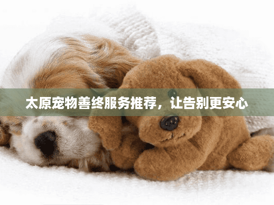 太原宠物善终服务推荐，让告别更安心
