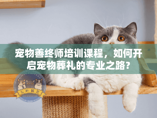 宠物善终师培训课程，如何开启宠物葬礼的专业之路？