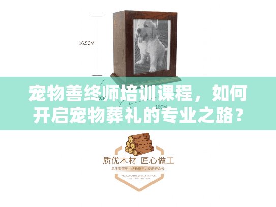 宠物善终师培训课程，如何开启宠物葬礼的专业之路？