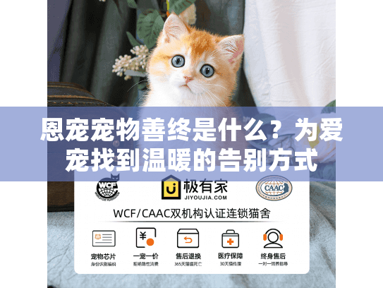 恩宠宠物善终是什么？为爱宠找到温暖的告别方式