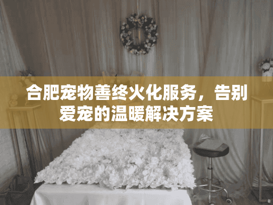合肥宠物善终火化服务，告别爱宠的温暖解决方案