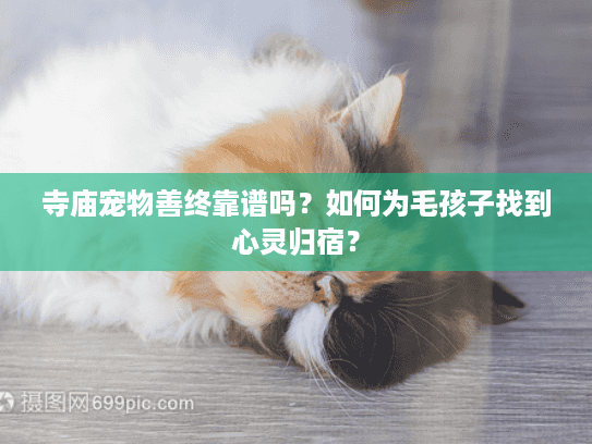寺庙宠物善终靠谱吗？如何为毛孩子找到心灵归宿？