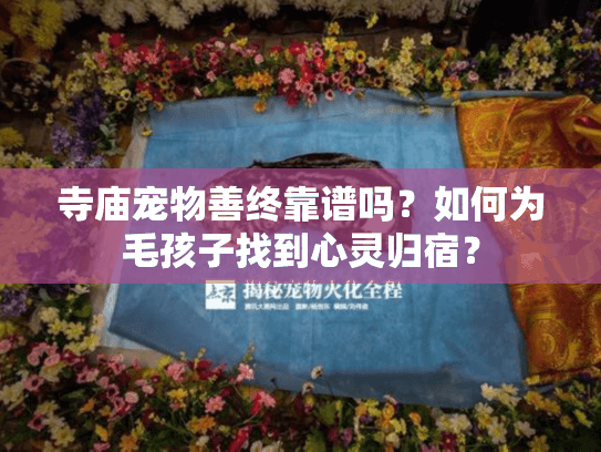 寺庙宠物善终靠谱吗？如何为毛孩子找到心灵归宿？