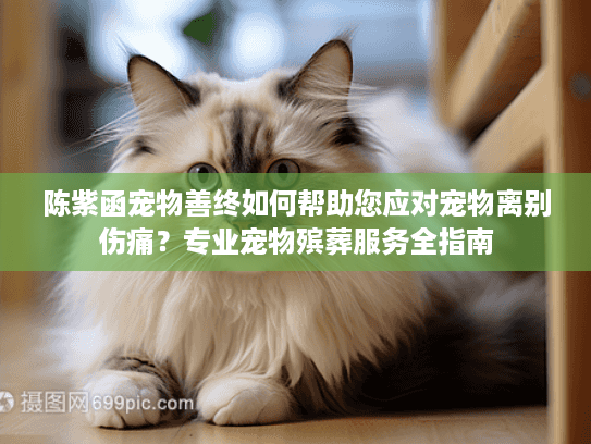 陈紫函宠物善终如何帮助您应对宠物离别伤痛？专业宠物殡葬服务全指南