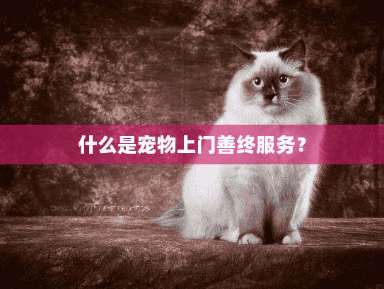 什么是宠物上门善终服务？