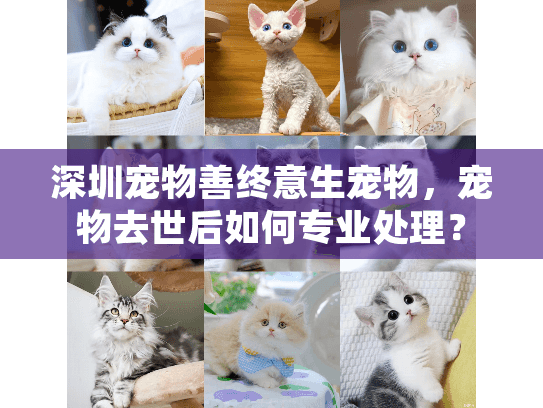 深圳宠物善终意生宠物，宠物去世后如何专业处理？