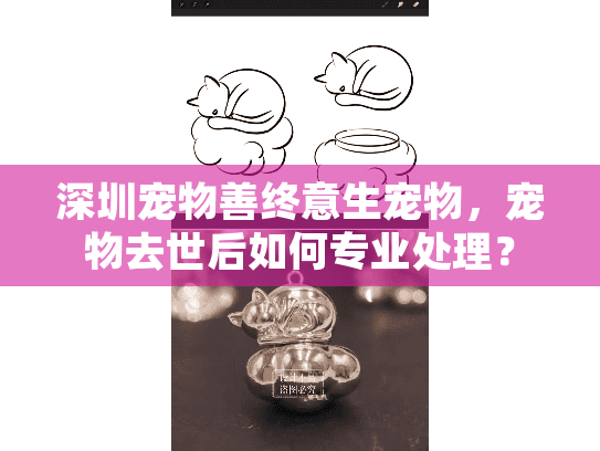 深圳宠物善终意生宠物，宠物去世后如何专业处理？