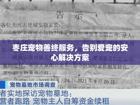 枣庄宠物善终服务，告别爱宠的安心解决方案