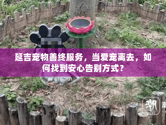 延吉宠物善终服务，当爱宠离去，如何找到安心告别方式？