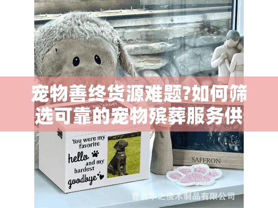 宠物善终货源难题?如何筛选可靠的宠物殡葬服务供应商