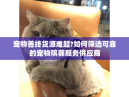 宠物善终货源难题?如何筛选可靠的宠物殡葬服务供应商