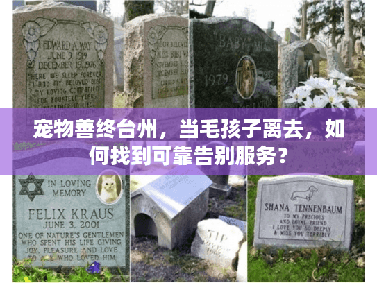 宠物善终台州，当毛孩子离去，如何找到可靠告别服务？