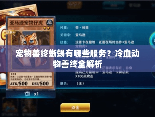 宠物善终蜥蜴有哪些服务？冷血动物善终全解析