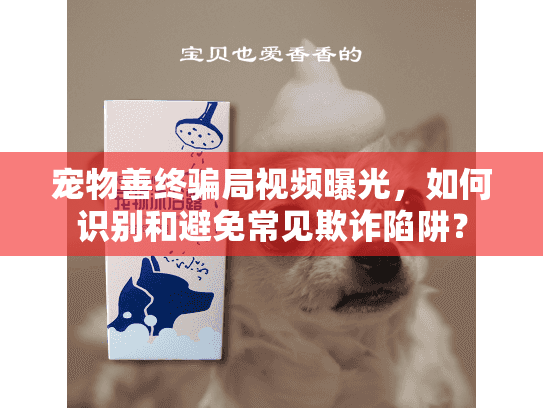 宠物善终骗局视频曝光，如何识别和避免常见欺诈陷阱？