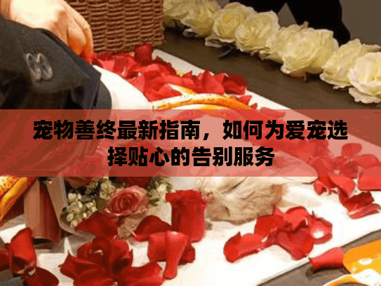 宠物善终最新指南，如何为爱宠选择贴心的告别服务