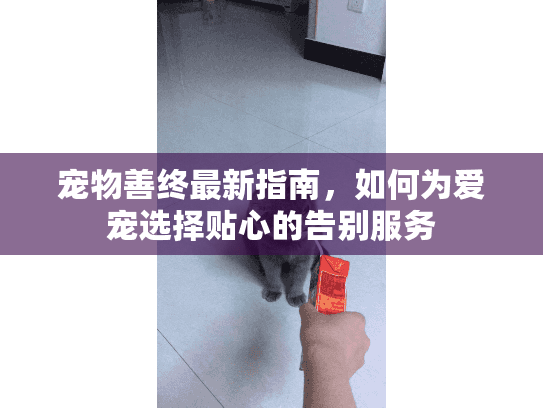 宠物善终最新指南，如何为爱宠选择贴心的告别服务