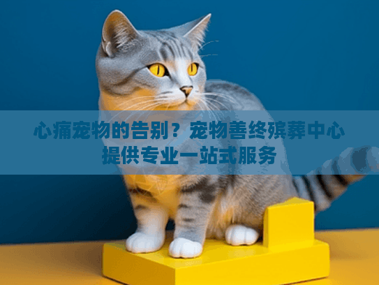 心痛宠物的告别？宠物善终殡葬中心提供专业一站式服务