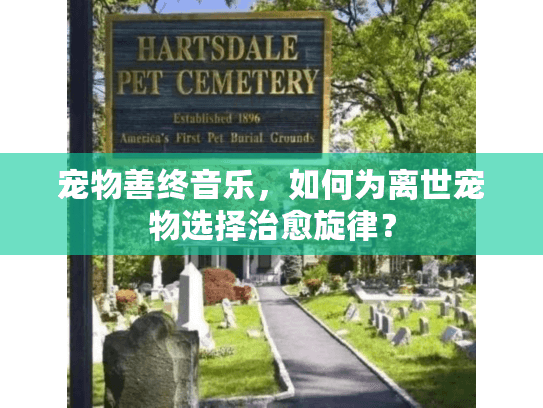 宠物善终音乐，如何为离世宠物选择治愈旋律？