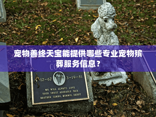 宠物善终天宝能提供哪些专业宠物殡葬服务信息？