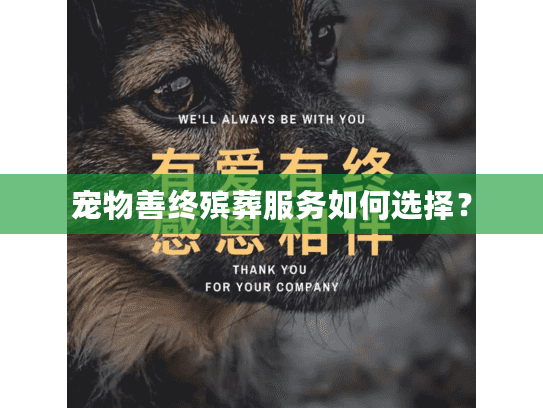 宠物善终殡葬服务如何选择？